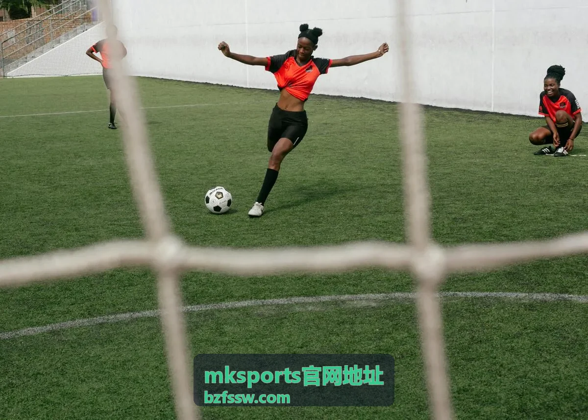 mksports官网地址服务公告订阅预览图