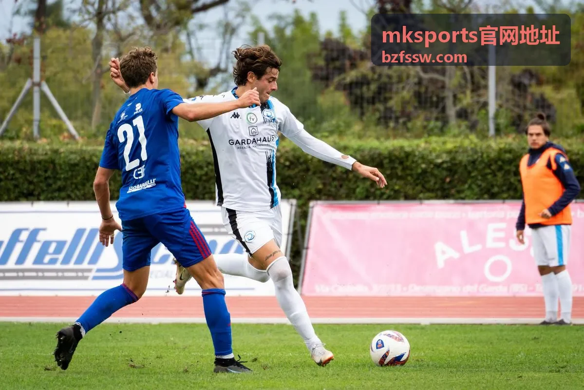 mksports官网地址赛事内容与服务板块配图